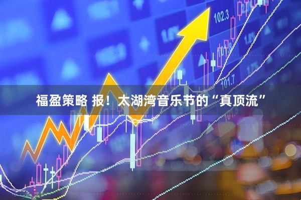 福盈策略 报！太湖湾音乐节的“真顶流”
