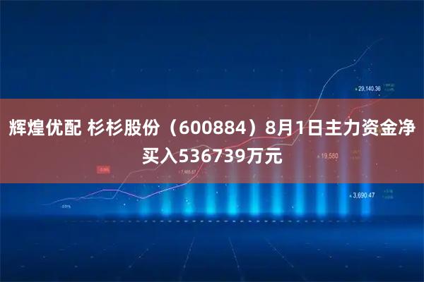 辉煌优配 杉杉股份（600884）8月1日主力资金净买入536739万元